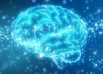 Qué es la misteriosa “zona incierta” del cerebro (y qué pistas ofrece un nueva investigación sobre ella)