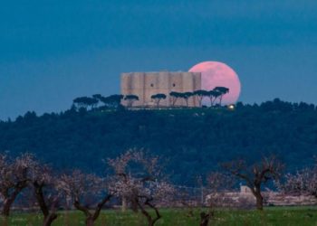 Cuándo es la Luna Rosa y qué puedes hacer para ver este fenómeno