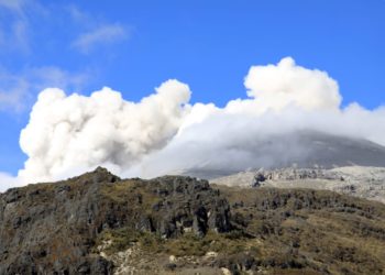 Risaralda prepara contingencia para protección de animales ante la alerta naranja del Volcán Nevado del Ruiz