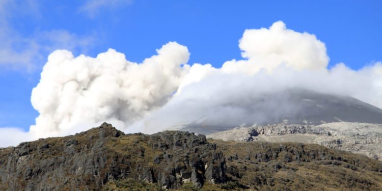 Risaralda prepara contingencia para protección de animales ante la alerta naranja del Volcán Nevado del Ruiz