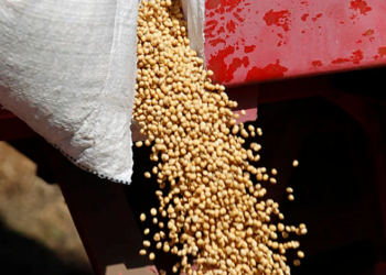 En medio de la sequía y la caída de reservas del Banco Central, Sergio Massa lanza el dólar agro