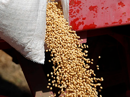 En medio de la sequía y la caída de reservas del Banco Central, Sergio Massa lanza el dólar agro