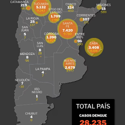 Al menos 25 muertes en todo el país: la radiografía del dengue en la Argentina