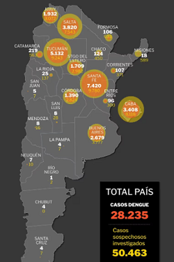 Al menos 25 muertes en todo el país: la radiografía del dengue en la Argentina