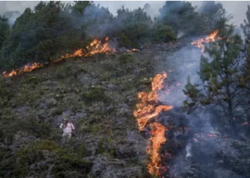 La ministra de Ambiente se refirió a los retos que afrontará el país en febrero, mes más seco del fenómeno de El Niño