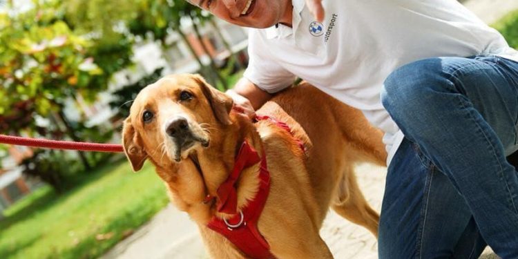 HOSPITAL PÚBLICO VETERINARIO GRATIS