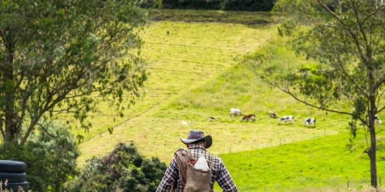 Alcaldía promueve la conformación del Consejo Municipal de Desarrollo Rural, instancia que lleva 3 años sin funcionar