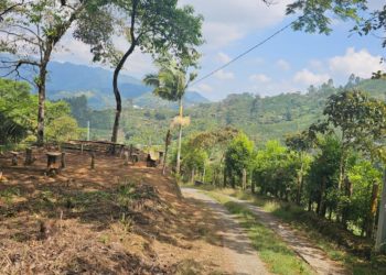 Con Cultura Ciudadana se busca recuperar el espacio público en la ciudad