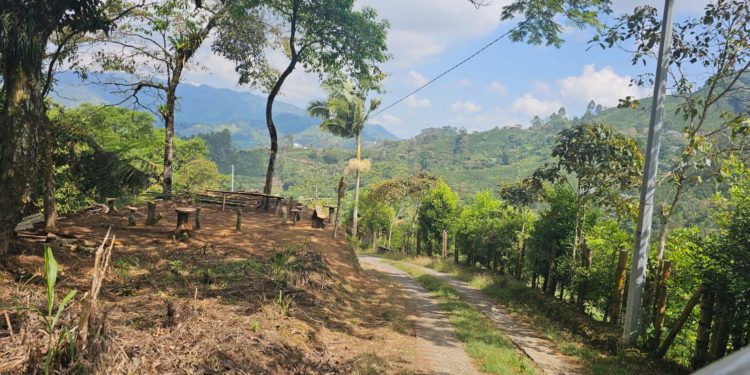 Con Cultura Ciudadana se busca recuperar el espacio público en la ciudad