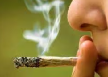 Prohibición del consumo de drogas no protege a los niños: “Criminaliza y crea escenarios de clandestinos”