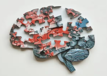 Cuáles son las mejores vitaminas para fortalecer la memoria y prevenir el Alzheimer