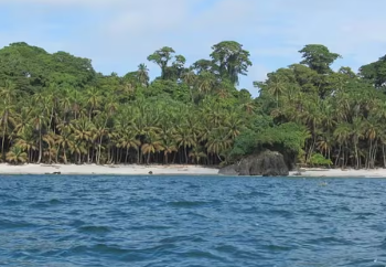 Fundación Salvemos a Gorgona se fue con toda contra Gustavo Petro: “Es un falso cambio y un falso ambientalismo”