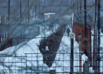 Temperaturas extremas, condiciones inhumanas y torturas: cómo es “Lobo Polar”, el gulag siberiano en el que murió Alexei Navalny