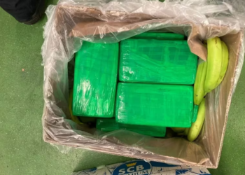 Cocaína incautada en Reino Unido, escondida en cargamento de bananos, habría salido de Santa Marta