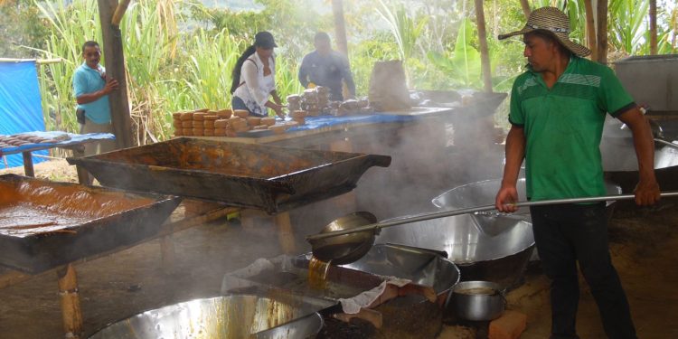 La Gobernación de Risaralda impulsa el desarrollo de la Asociación de Paneleros Cañaveral El Retiro en Quinchía