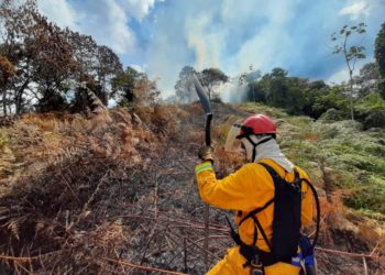En 2024 se han registrado en Risaralda más de 200 incendios de cobertura vegetal