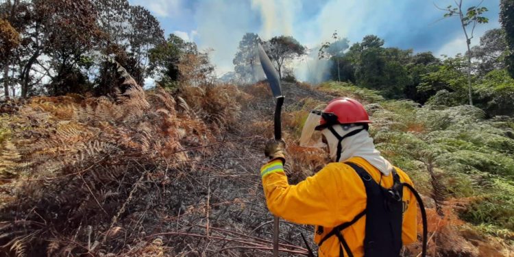 En 2024 se han registrado en Risaralda más de 200 incendios de cobertura vegetal