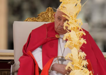 Papa Francisco recordó a las víctimas de San José de Apartadó durante el Ángelus en el Domingo de Ramos