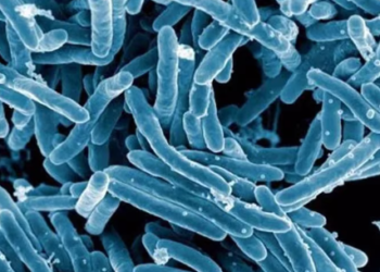 Cada 8 horas muere una persona en Argentina de tuberculosis