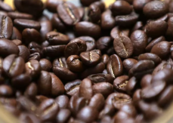 Precio del dólar en Colombia tiene amenazada la exportación de café, aguacate y banano: empresas dirían adiós al negocio