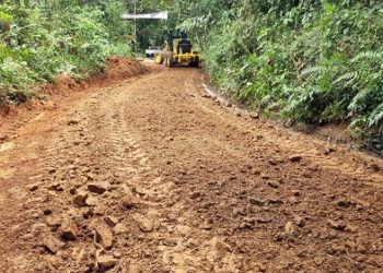 Maquinaria amarilla, ¡a todo vapor!