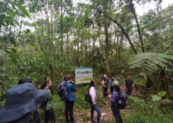 Reto Naturalista: la UTP se suma a este reto mundial por la biodiversidad 