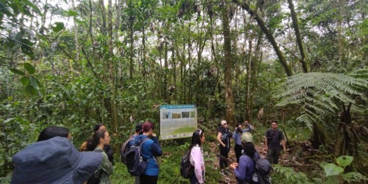 Reto Naturalista: la UTP se suma a este reto mundial por la biodiversidad 