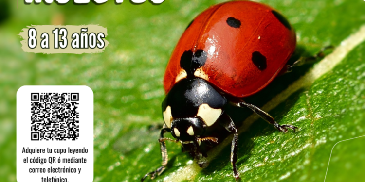 Descubra el fascinante mundo de la ecología con nuestro curso especialmente diseñado para niños