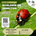 Descubra el fascinante mundo de la ecología con nuestro curso especialmente diseñado para niños