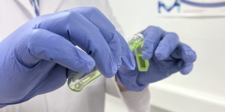 Transformando la industria desde el Programa de Ingeniería en Procesos Agroindustriales