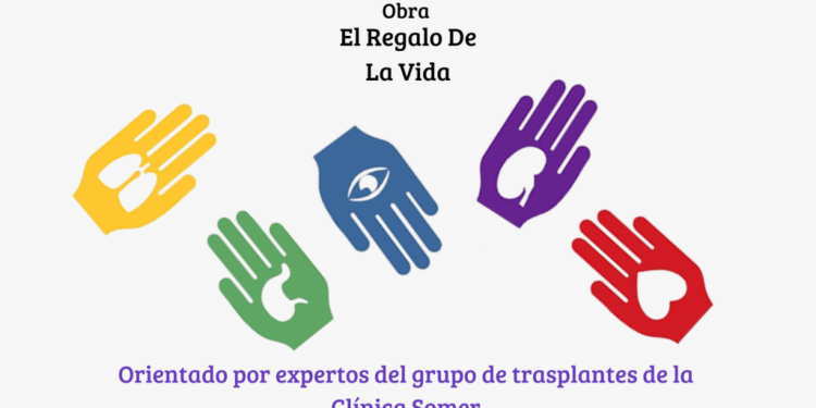 Mitos y realidades acerca de la Donanción de órganos y tejidos.