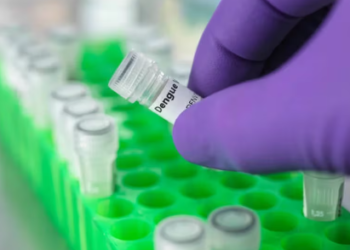 Coinfecciones de dengue: qué dicen los expertos sobre su gravedad y cuál es la diferencia con un cuadro común