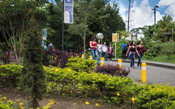 Convocatoria Elecciones Representantes para diferentes comités