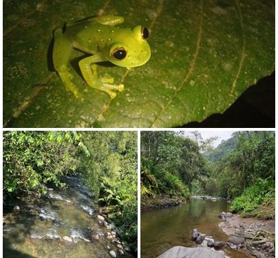 Únase a un recorrido por el único por el Salado de Consotá
