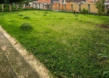Administración Municipal con apoyo de Atesa de Occidente, hizo mantenimiento a la cancha del Poblado 1