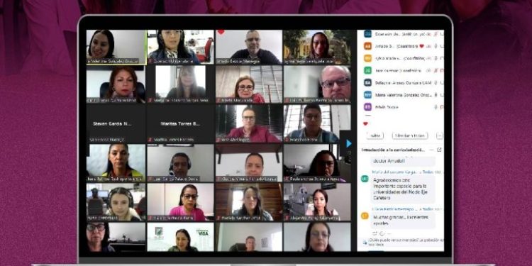 Webinar sobre Curricularización de la Extensión Universitaria reunió a más de 70 participantes de distintas Instituciones