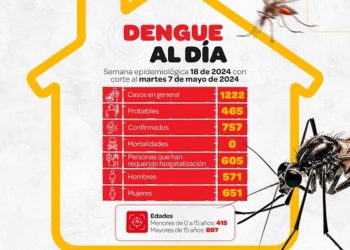 DENGUE AL DÍA