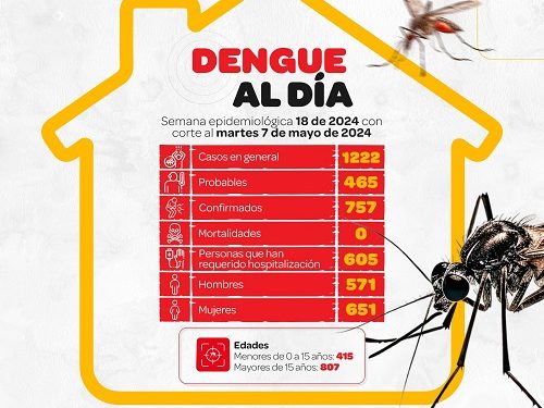 DENGUE AL DÍA