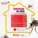 DENGUE AL DÍA