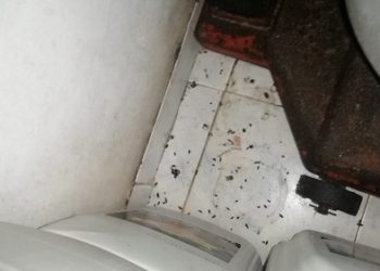 *Segundo restaurante chino clausurado por la Secretaría De Salud*