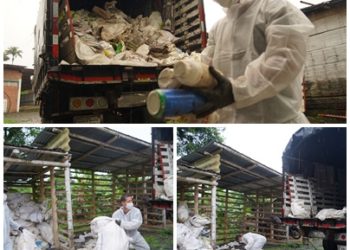 Un total de 3.1 toneladas fueron recogidas en la primera gran jornada de recolección de residuos agrícolas posconsumo