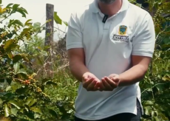 ¡Únete a la fiesta cafetera en la Calle del Café en Apía!