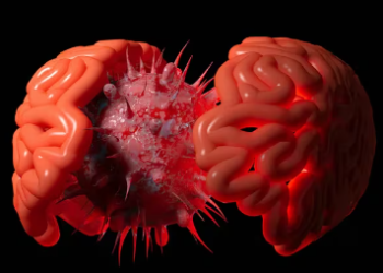 Por qué el peligroso virus Chandipura, que ya causó 60 muertos en India, estaría relacionado al cambio climático
