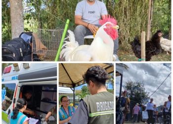 Con el cumplimiento del Plan de Atención en Salud, en la feria de La Florida, otro “gallo canta”