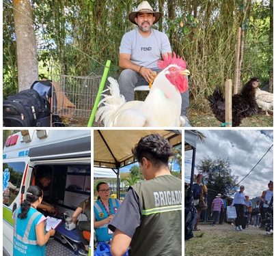 Con el cumplimiento del Plan de Atención en Salud, en la feria de La Florida, otro “gallo canta”