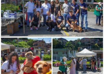 Las mascotas de Santa Rosa de Cabal recibieron atención médica por parte de la Gobernación