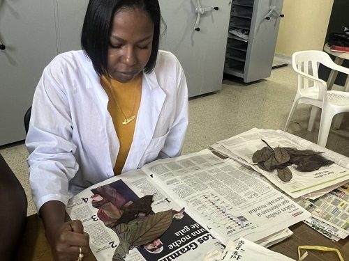 Convocatorias que transforman sueños: la Universidad Tecnológica de Pereira impulsa la búsqueda de financiación para proyectos de investigación 