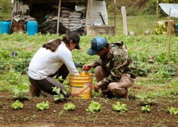 La nueva generación que impulsa el futuro de la producción agrícola en la Universidad Tecnológica de Pereira 