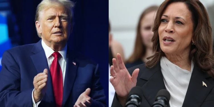 Donald Trump y Kamala Harris: un perfil comparativo de los candidatos presidenciales