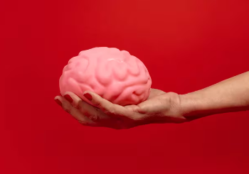 ¿Se redujo el tamaño del cerebro humano? Cuáles son las razones, según la ciencia